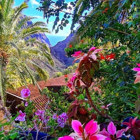 Ocean View Tenerife Σαν Μιγκέλ ντε Αμπόνα Εξωτερικό φωτογραφία