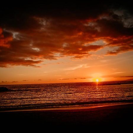 Ocean View Tenerife Σαν Μιγκέλ ντε Αμπόνα Εξωτερικό φωτογραφία