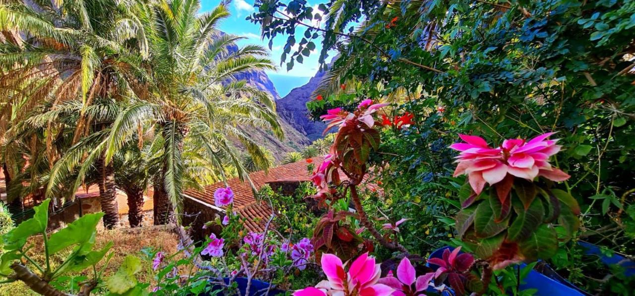 Ocean View Tenerife Σαν Μιγκέλ ντε Αμπόνα Εξωτερικό φωτογραφία